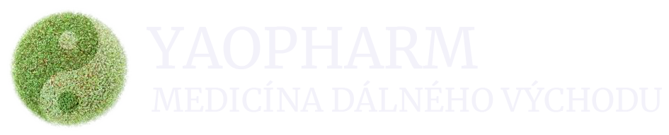 Tradiční čínská medicína